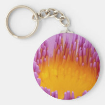Purple and Yellow Water Lily Flower Blossom Key Chains