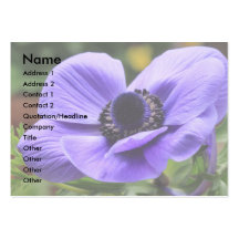 Purple Anemone Business Card