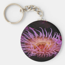 Purple Anemone Key Chains