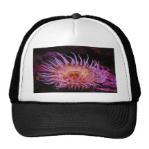Purple Anemone Trucker Hat
