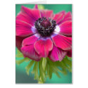 purple anenome cards