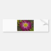 Purple Aster Flower Power Bumper Sticker