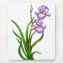 Purple Bearded Iris Flowers Mousepad