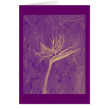 Purple Bird of Paradise Greeting Card