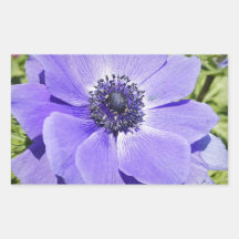Purple Bloom Rectangle Sticker