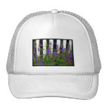 Purple Blue Flowers Fence Hat