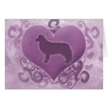 Purple Border Collie Valentine's Day Card