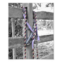 Purple Bridle & Reins Photo Print