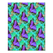 Purple Butterflies Photo