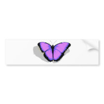 Purple Butterfly!