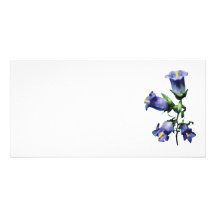 Purple Canterbury Bells Custom Photo Card