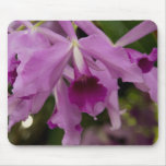 Purple Cattleya Orchid Mousepads