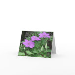 purple clematis cards