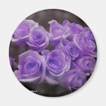 Purple colorized rose bunch fridge magnet