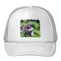 Purple Columbine Baseball Hat