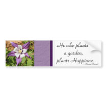 Purple Columbine