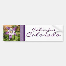 Purple Columbine Bumper Sticker