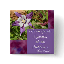 Purple Columbine