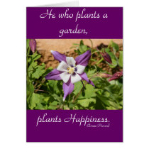 Purple Columbine