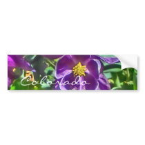 Purple columbine Colorado bumpersticker Bumper Stickers