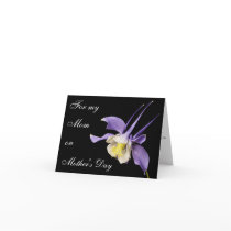 Purple Columbine,  For Mom Cards