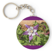Purple Columbine
