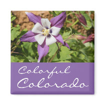 Purple Columbine