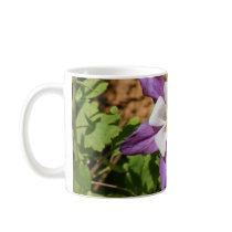 Purple Columbine Mugs