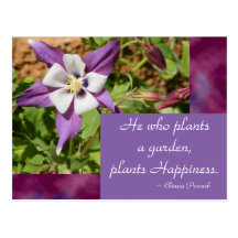 Purple Columbine Post Cards
