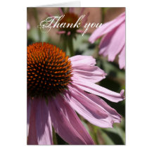 Purple Coneflower Card