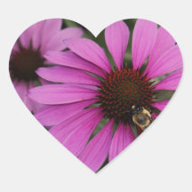 Purple Coneflowers Sticker
