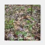 Purple Cress Magnet