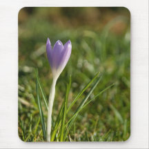 Purple Crocus DSC5082 Mouse Pads