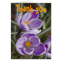 Purple crocus flowers ...  Thank you card