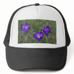 purple crocus mesh hat