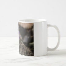 Purple crocus mug