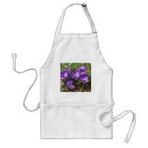 Purple Crocuses Aprons