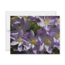 Purple Crocuses DSC5454 Personalized Invite