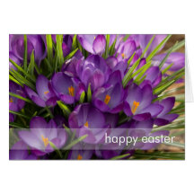 Purple Crocuses DSC5938 Greeting Cards