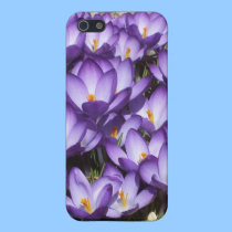 Purple Crocuses iPhone 5 case iphone cases