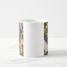 Purple Crocuses Mugs