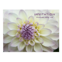 Purple Dahlia • Rehearsal Dinner Invitation Post Cards