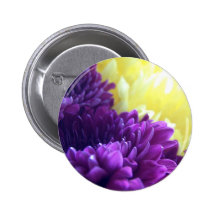 Purple Dahlias Pinback Buttons
