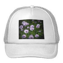 Purple Daisies Mesh Hats