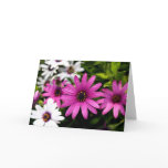 Purple Daisy Greeting Card