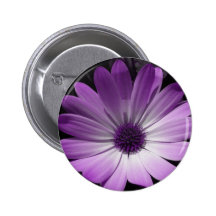 Purple Daisy Flower Button