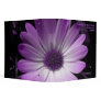 Purple Daisy Flower Customizable Wedding Album
