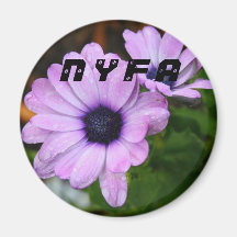 purple_daisy_flowers_with_dark_purple_centers, ... magnets
