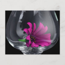 Purple Daisy in Glass Flyers