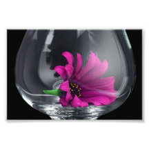 Purple Daisy in Glass Photo Print
